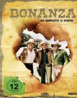 Bonanza T12