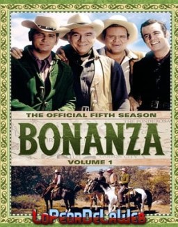 Bonanza stream