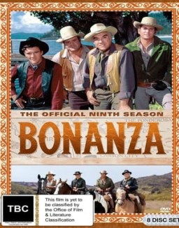 Bonanza stream