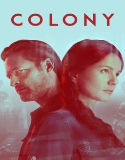 Colony stream