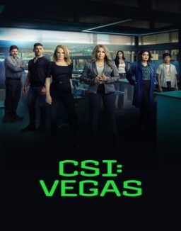 CSI: Vegas temporada  2 online