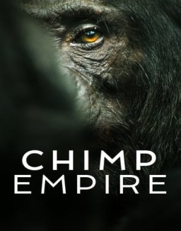 El imperio de los chimpancés online