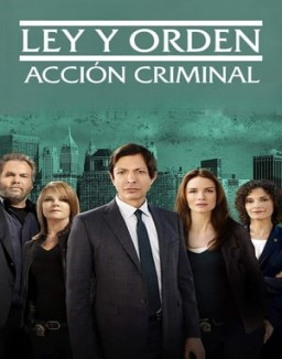 Ley y orden: Acción criminal temporada  9 online