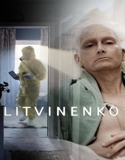 Litvinenko online