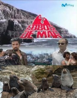 Lobos de mar online