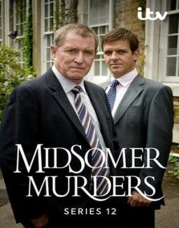 Los asesinatos de Midsomer temporada  12 online