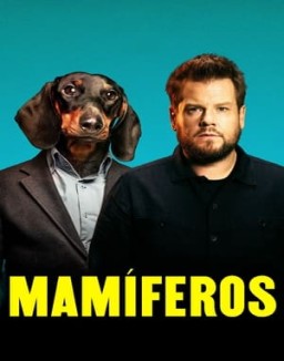 Mamíferos T1