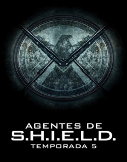 Marvel Agentes de S.H.I.E.L.D. temporada  5 online