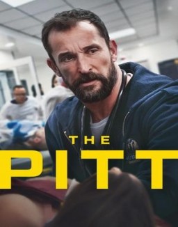 The Pitt online