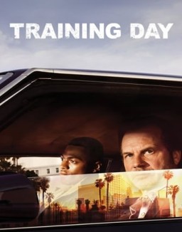 Training Day T1