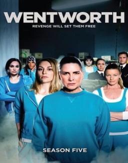 Wentworth temporada  5 online