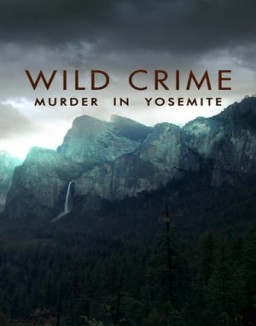 Wild Crime T1